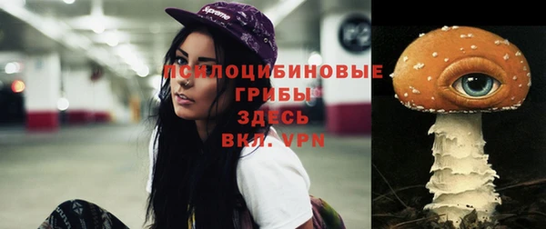 твердый Касимов