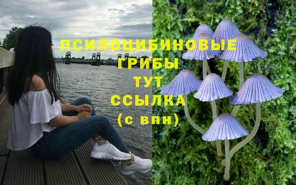 ALPHA-PVP Киренск