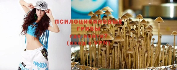 прущие грибы Каменка